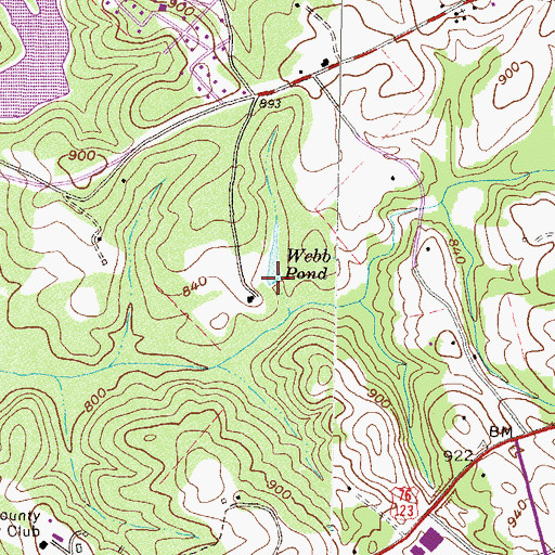 Topographic Map of Webbs Pond Dam D-1657, SC