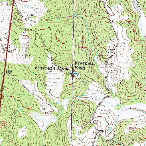 Topographic Map of Freeman Pond Dam D-1662, SC