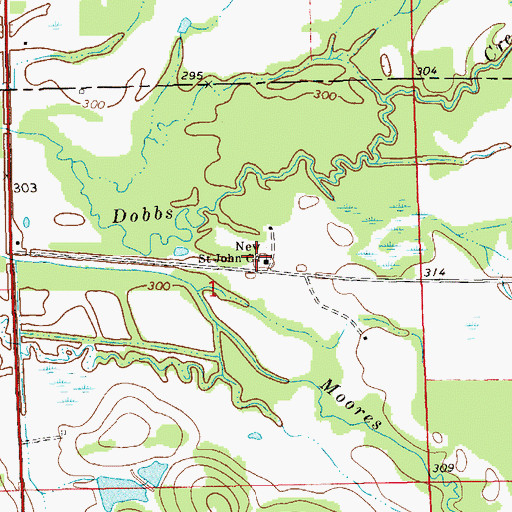 Topographic Map of New Saint John Church, AL