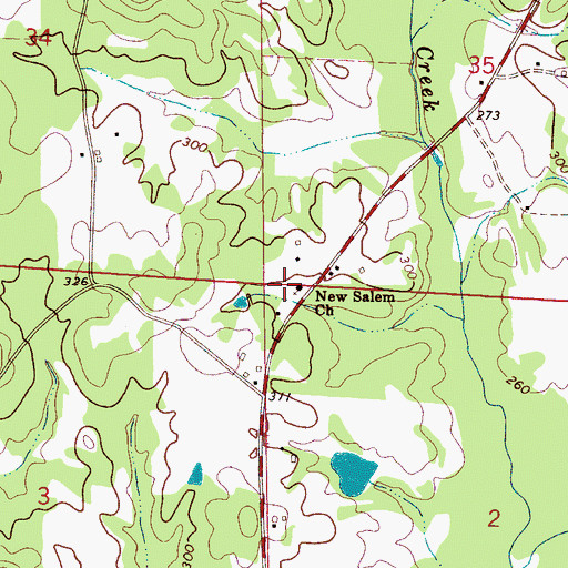 Topographic Map of New Salem Church, AL