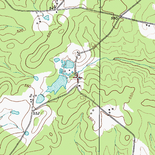 Topographic Map of Adams Pond, SC