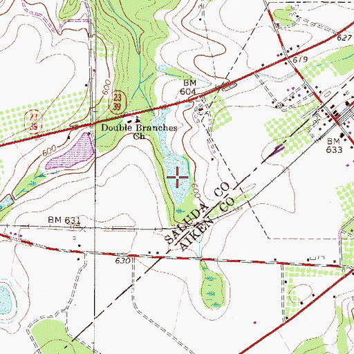 Topographic Map of Burtons Pond Dam D-1256, SC