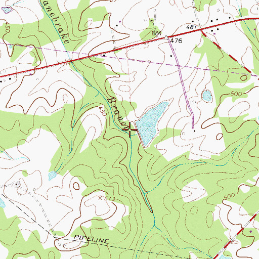 Topographic Map of Herlongs Pond Dam D-1597, SC