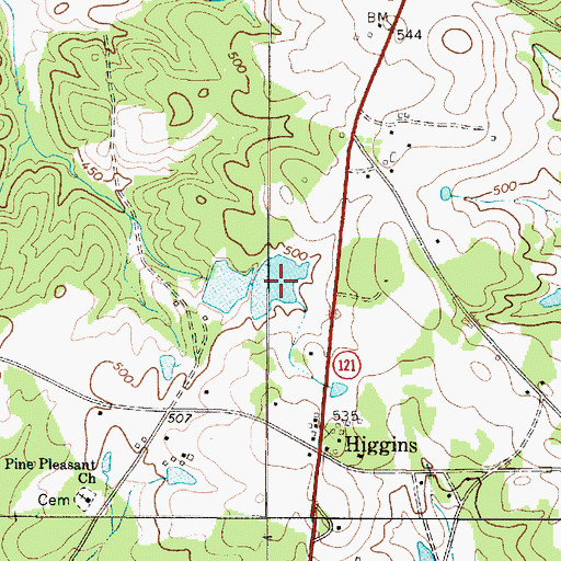 Topographic Map of R Colemans Pond, SC