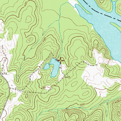 Topographic Map of W Colemans Pond Dam D-1204, SC