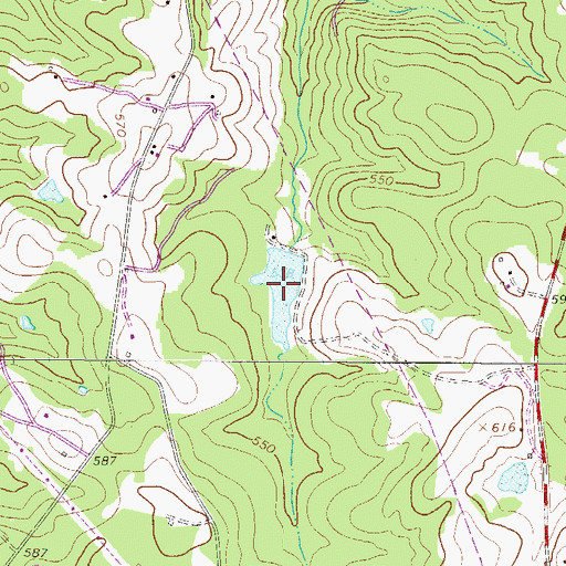 Topographic Map of Yances Pond, SC