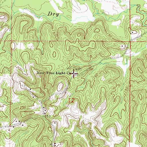 Topographic Map of New True Light Baptist Church, AL