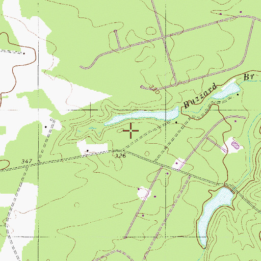 Topographic Map of Whitehead Pond Dam D-2036, SC