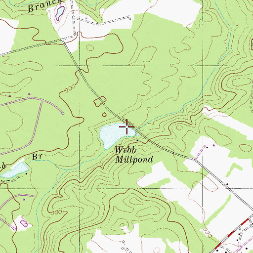 Topographic Map of Webbs Pond Dam D-2038, SC