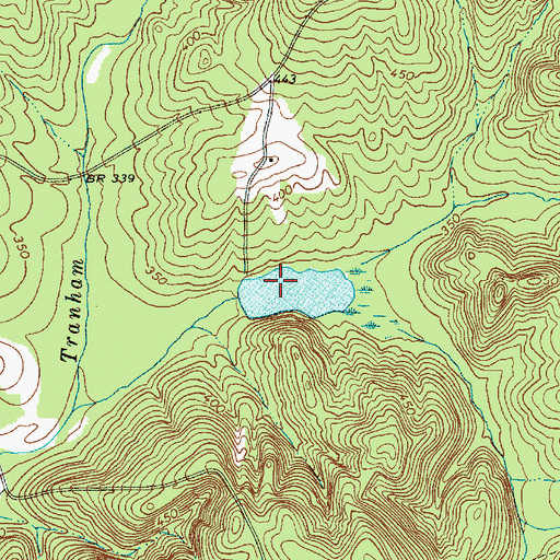Topographic Map of Brewers Pond Dam D-1752, SC