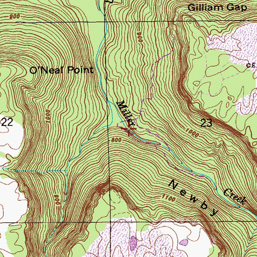 Topographic Map of Newby Gulf, AL