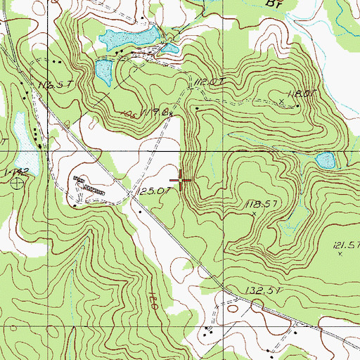 Topographic Map of Gantts Pond, SC