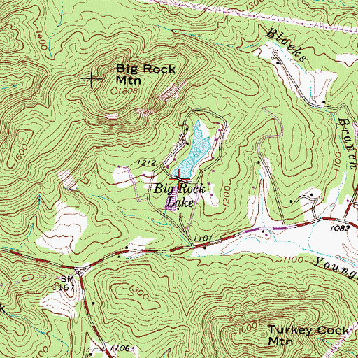 Topographic Map of Big Rock Lake Dam D-1960, SC