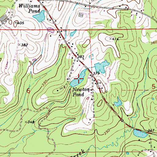 Topographic Map of Newton Pond, AL