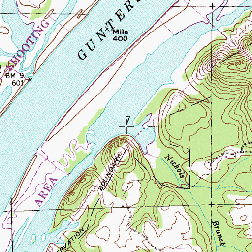 Topographic Map of Nichols Branch, AL