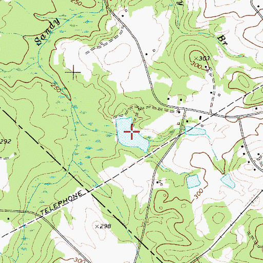 Topographic Map of R W Cokers Pond, SC