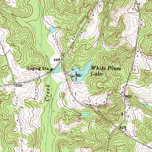 Topographic Map of White Pines Lake Dam D-2149, SC