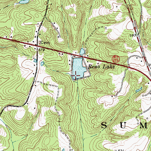 Topographic Map of Renumber Lake Dam D-2156, SC