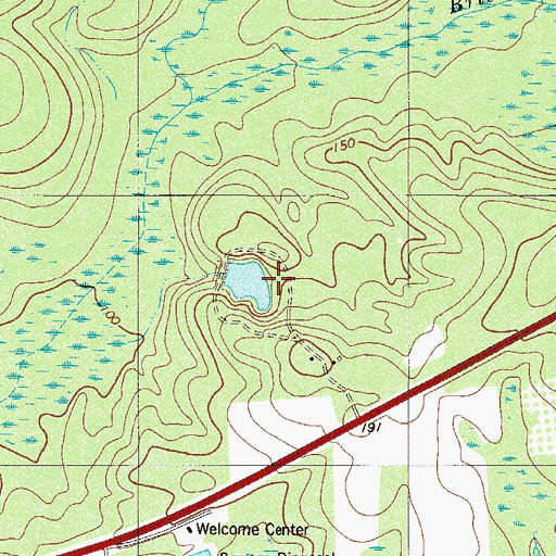 Topographic Map of Rices Pond Dam D-2573, SC
