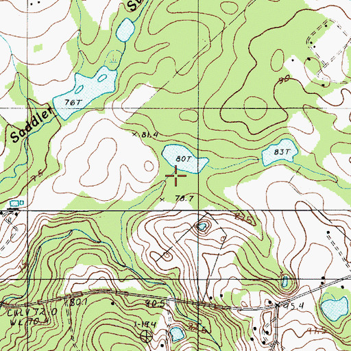 Topographic Map of Bobby Gressett Pond Dam D-2662, SC