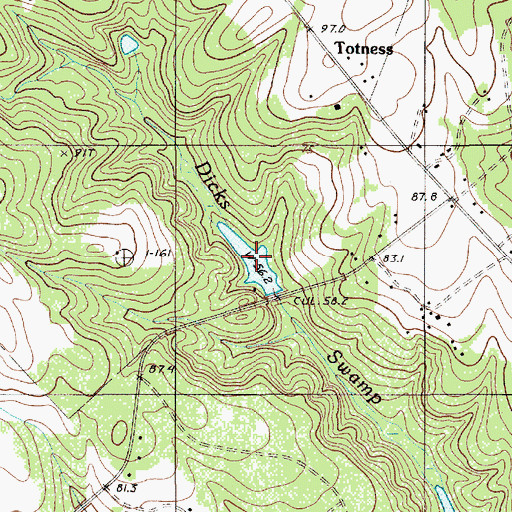 Topographic Map of Furtick Pond, SC