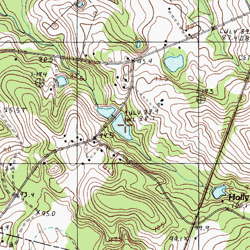 Topographic Map of Green Pond, SC