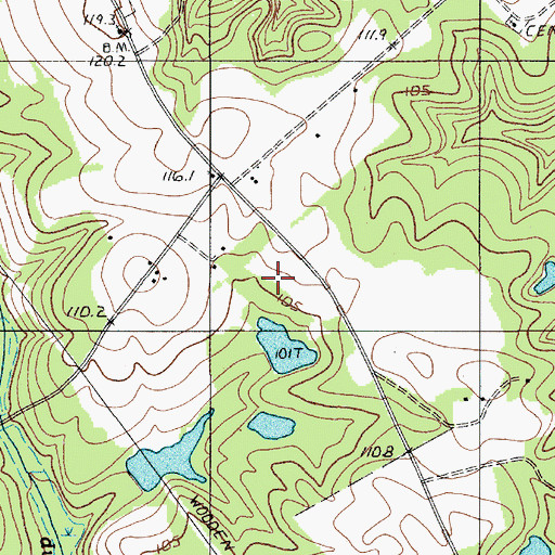 Topographic Map of Strawberry Pond, SC