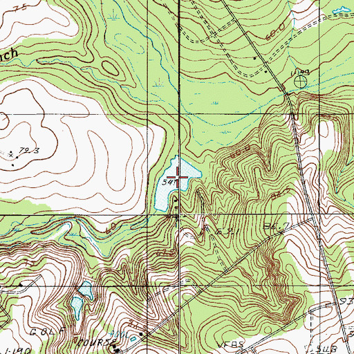 Topographic Map of Sykes Pond, SC