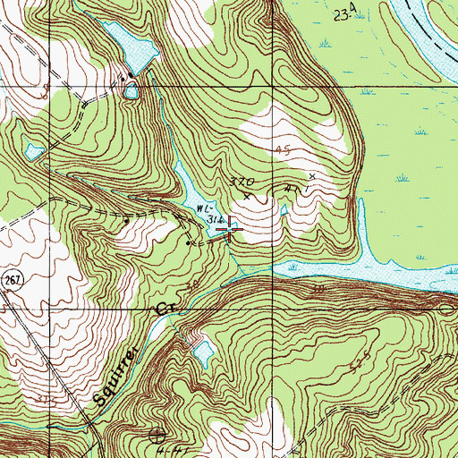 Topographic Map of Way Pond Dam D-2657, SC