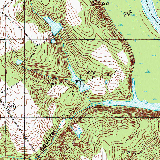Topographic Map of Way Pond, SC