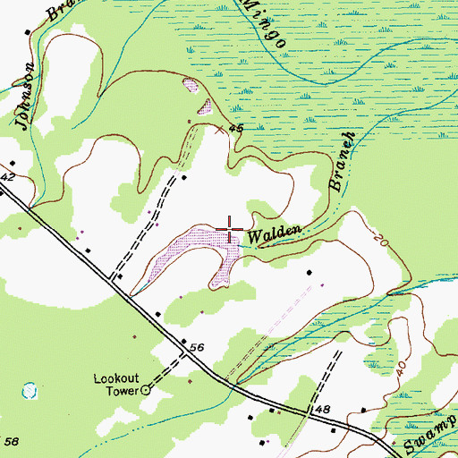 Topographic Map of Brockington Pond Dam D-3100, SC