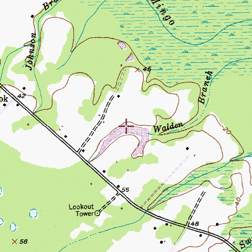 Topographic Map of Brockington Pond, SC