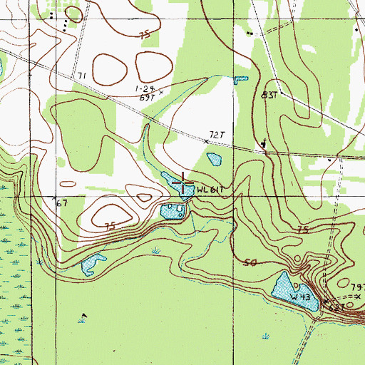 Topographic Map of Longlands Hope Swamp Pond, SC
