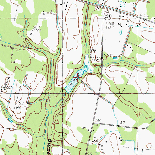 Topographic Map of Scott Pond, SC