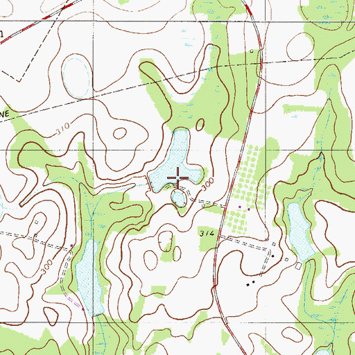 Topographic Map of Bates Pond D-3072 Dam, SC