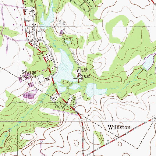Topographic Map of Folks Lower Pond D-3053 Dam, SC