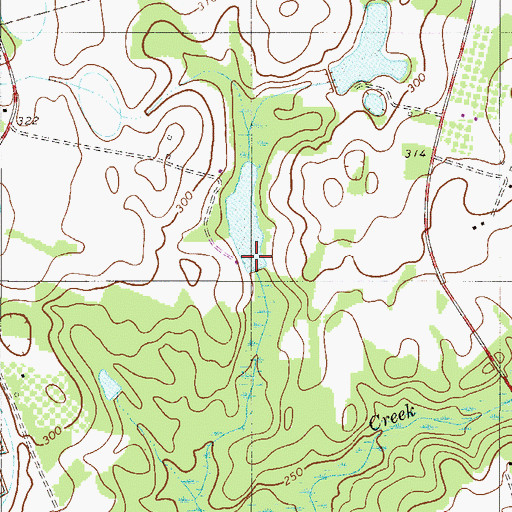 Topographic Map of Dicks Pond D-3069 Dam, SC