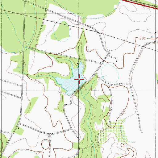 Topographic Map of Edisto Pond Dam D-3061, SC
