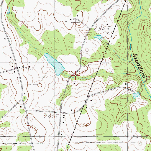 Topographic Map of Nannies Pond Dam D-2913, SC