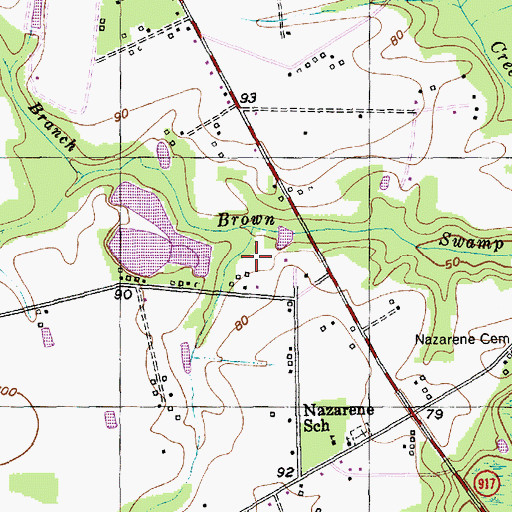 Topographic Map of McMillen Lower Pond Dam D-0515, SC