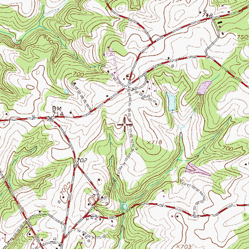 Topographic Map of Hayes Pond Dam D-3118, SC