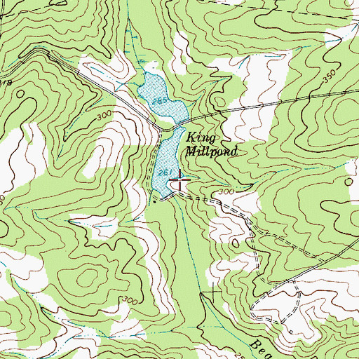 Topographic Map of King Millpond Dam D-3202, SC