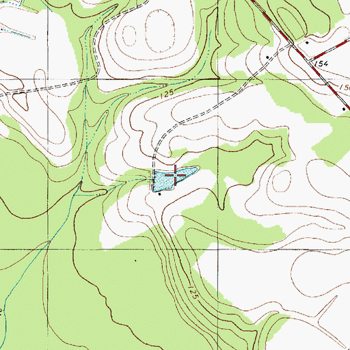 Topographic Map of G Tindal Pond, SC