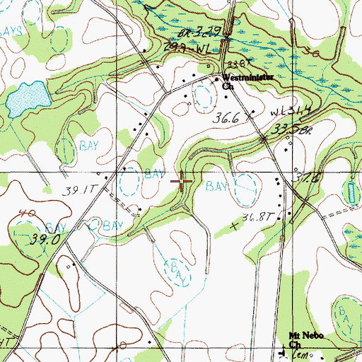 Topographic Map of Cuttinumber Pond, SC