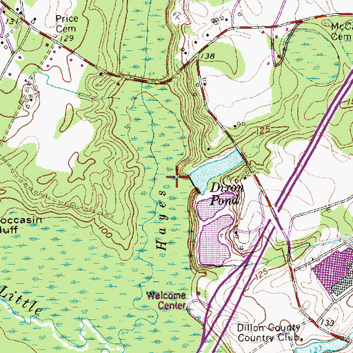 Topographic Map of D D Lee Pond Dam D-3597, SC