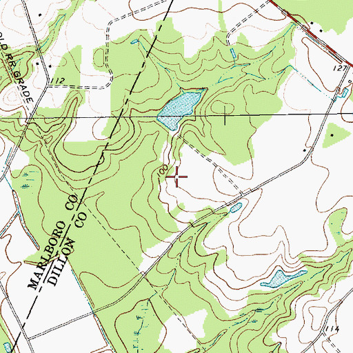 Topographic Map of Fore Pond Dam D-3599, SC