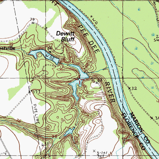 Topographic Map of Miller Pond, SC
