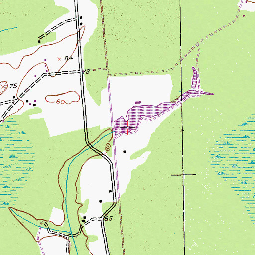 Topographic Map of Smith Pond Dam D-3621, SC