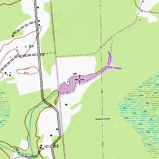 Topographic Map of Smith Pond, SC
