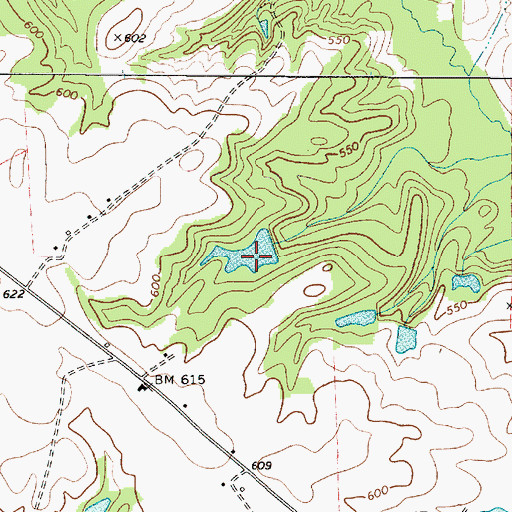 Topographic Map of Bedenbaugh Pond Dam Number Two D-3002, SC